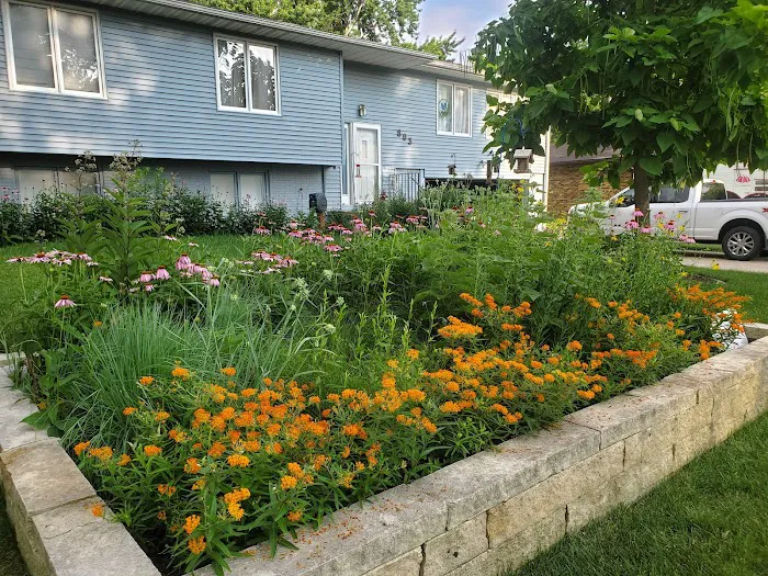 Sustainable Landscape Solutions Picture 6