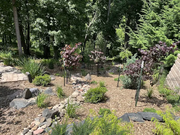 Sustainable Landscape Solutions Picture 1