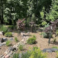 Sustainable Landscape Solutions ico