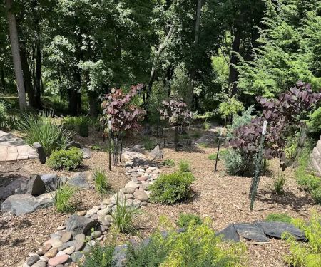 Sustainable Landscape Solutions