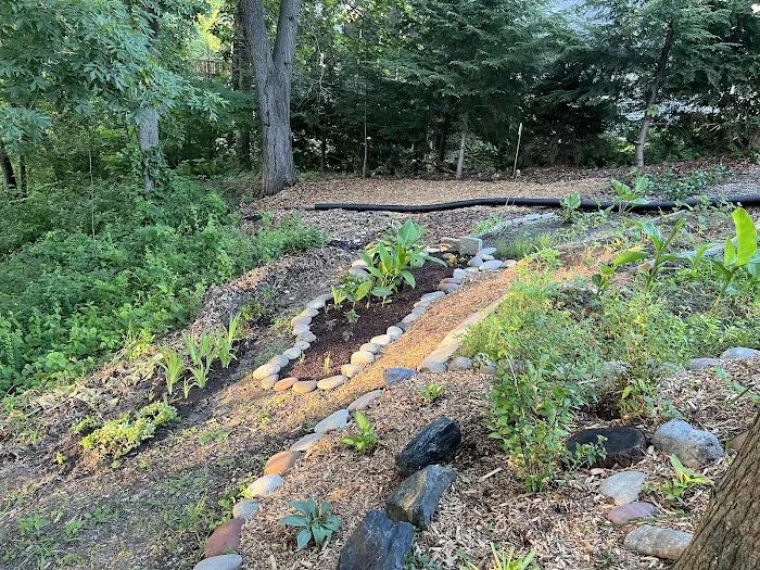 Sustainable Landscape Solutions Picture 9