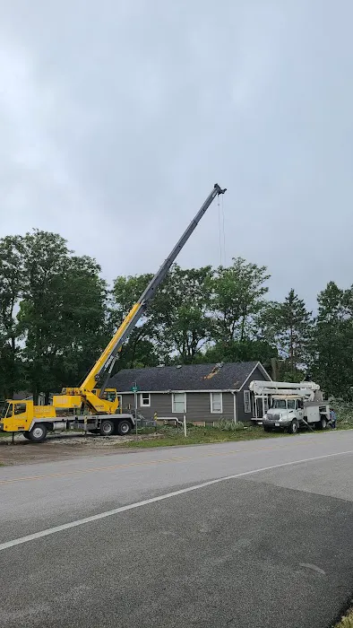 LT Land & Tree Service LLC Picture 2