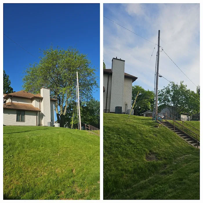LT Land & Tree Service LLC Picture 6
