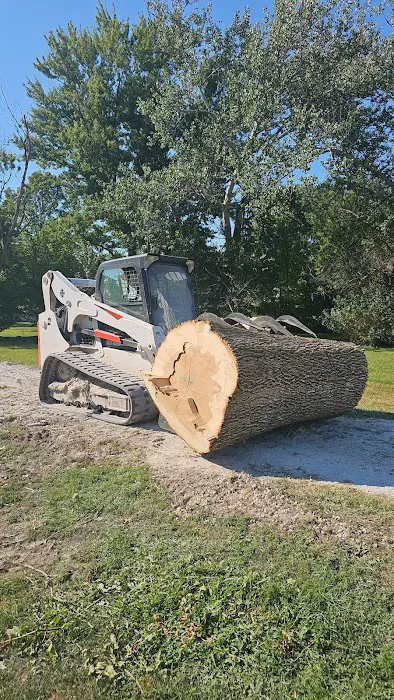 LT Land & Tree Service LLC Picture 8