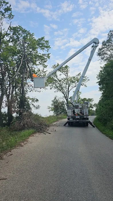 LT Land & Tree Service LLC Picture 7
