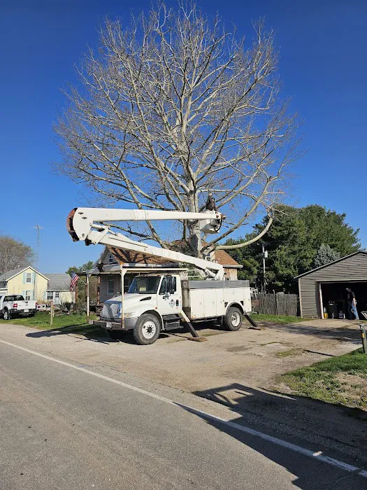 LT Land & Tree Service LLC Picture 10