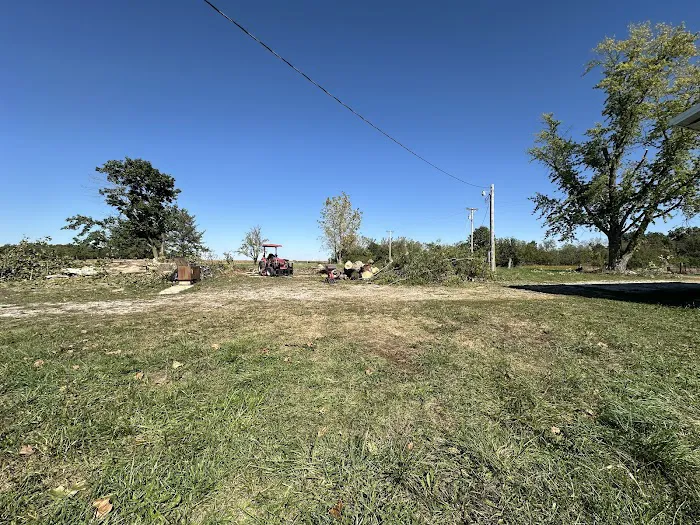 LT Land & Tree Service LLC Picture 1