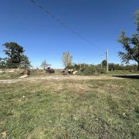 LT Land & Tree Service LLC ico