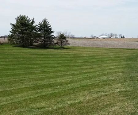 Johnson's Lawn Care