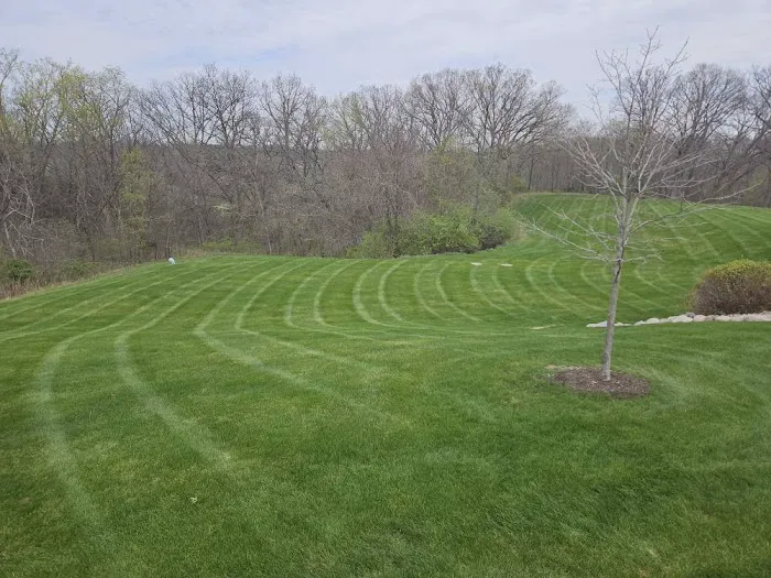 H&H Lawn Services Picture 4