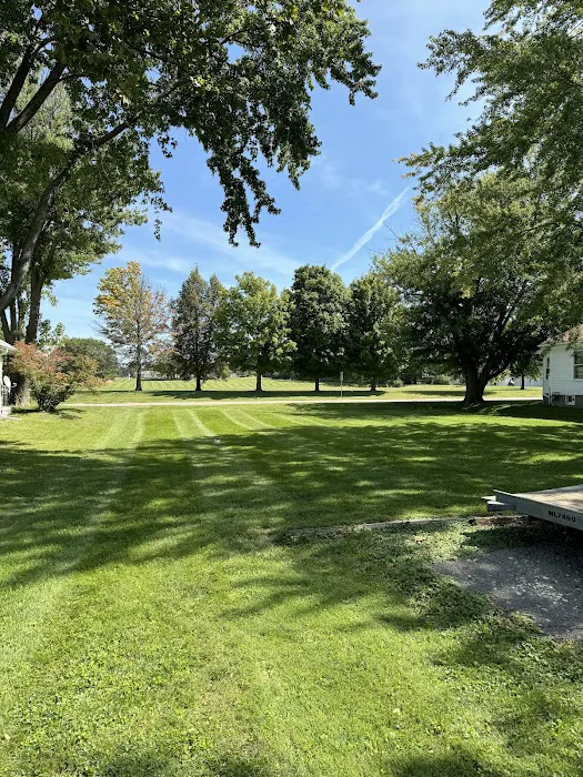 New View Land Services Picture 9