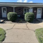 New View Land Services