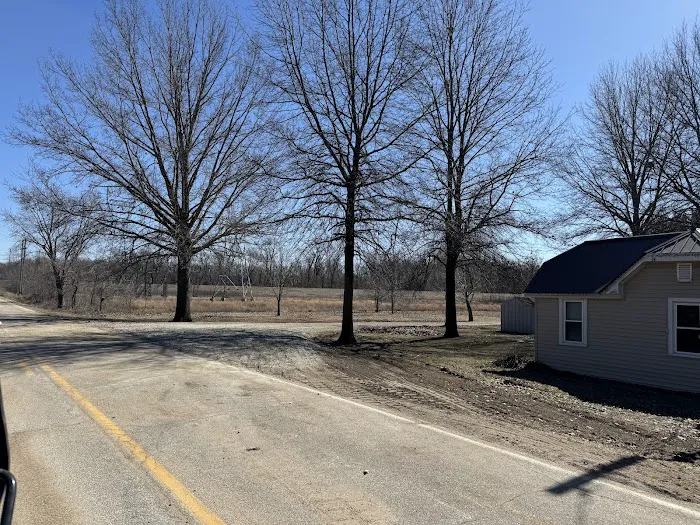 New View Land Services Picture 8