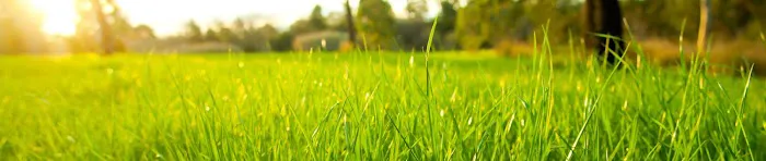 All Seasons Lawn Care & Snow Removal Picture 1