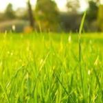 All Seasons Lawn Care & Snow Removal