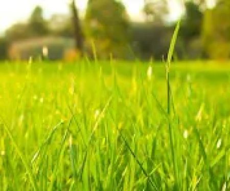 All Seasons Lawn Care & Snow Removal