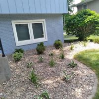 Torres Lawn care and Landscaping ico