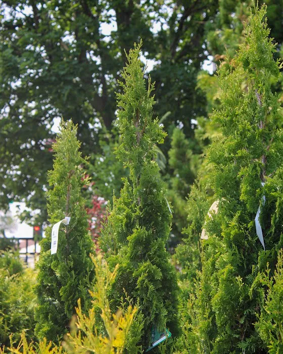 Iowa City Landscaping & Garden Center Picture 6