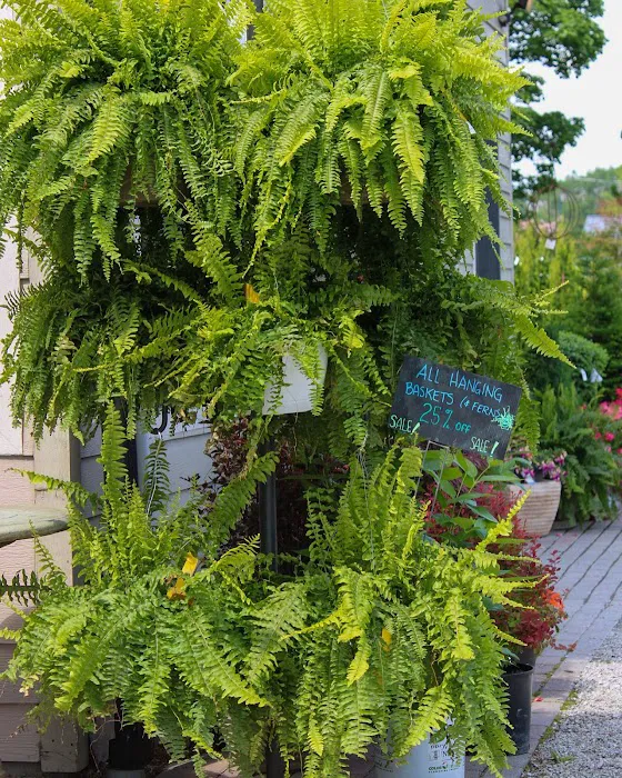 Iowa City Landscaping & Garden Center Picture 9
