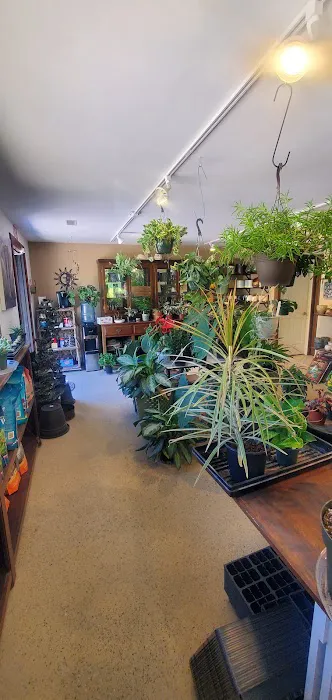 Sanders Creek Company Picture 5