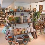 Sanders Creek Company