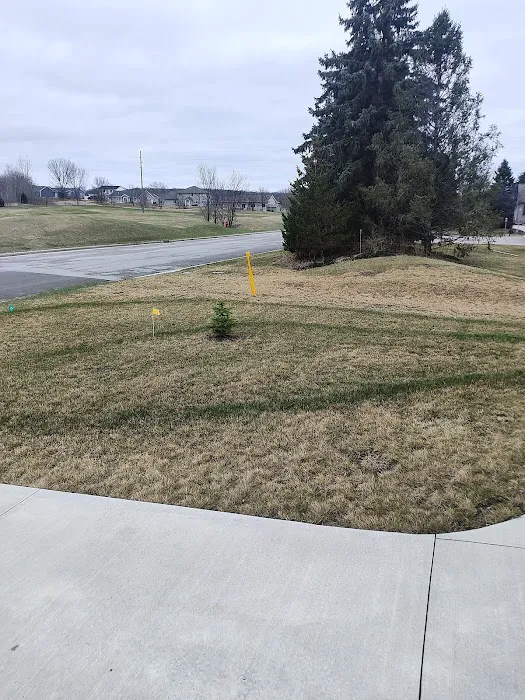 TruGreen Lawn Care Picture 6