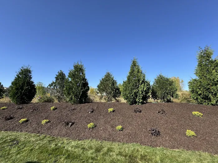 Leafland Landscape Maintenance and Supply Picture 3