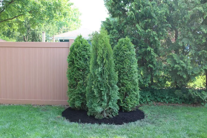 Leafland Landscape Maintenance and Supply Picture 1