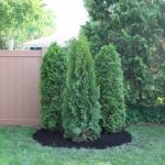 Leafland Landscape Maintenance and Supply