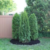 Leafland Landscape Maintenance and Supply ico
