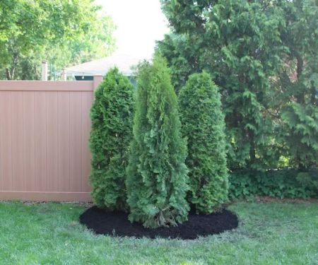 Leafland Landscape Maintenance and Supply