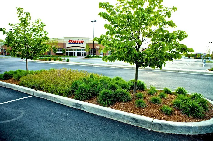 Quality Landscape and Lawn Care Picture 2