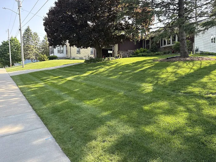 Kelvin's Landscaping, LLC Picture 3
