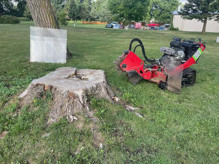Angry Beaver Stump Removal LLC Picture 7