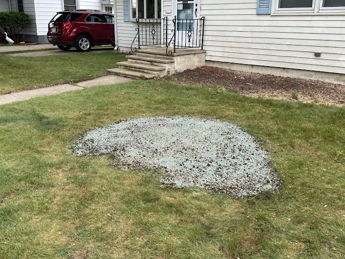 Angry Beaver Stump Removal LLC Picture 10
