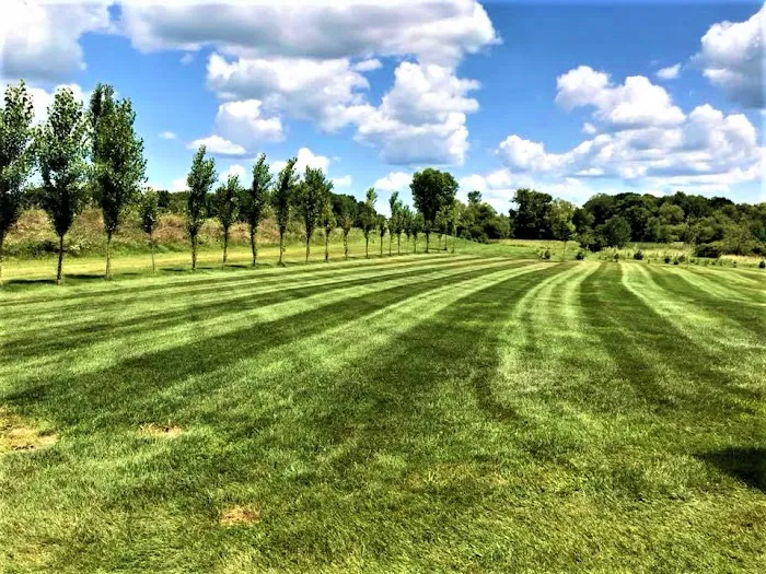 Crombie Lawn Care LLC Picture 2