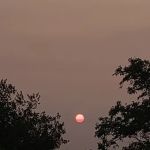 Rademann Stone & Landscape Co., Inc.