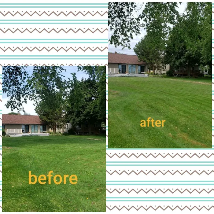Supreme Green Lawncare and Landscaping LLC Picture 2