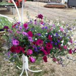 Dutch Touch Lawn Services & Dutch Touch Greenhouse