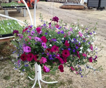 Dutch Touch Lawn Services & Dutch Touch Greenhouse