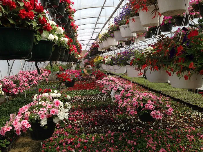 Dutch Touch Lawn Services & Dutch Touch Greenhouse Picture 4
