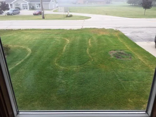 Naturescape Lawn and Landscape Care Picture 7