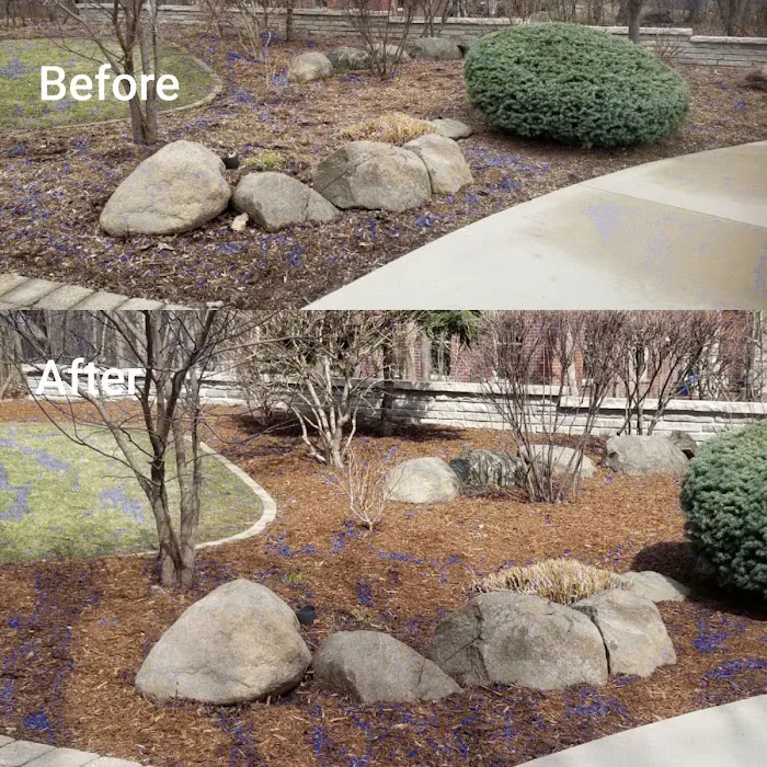 Essential Lawn Services Picture 2