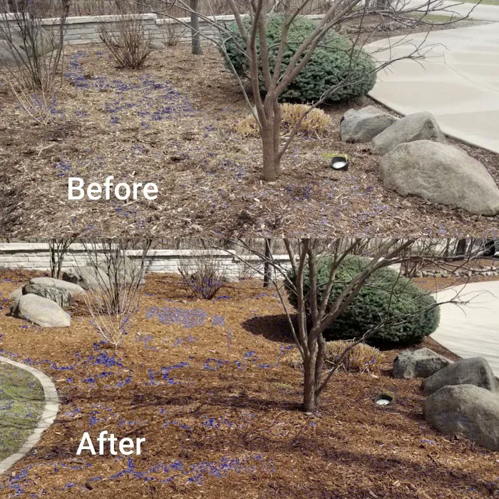 Essential Lawn Services Picture 1