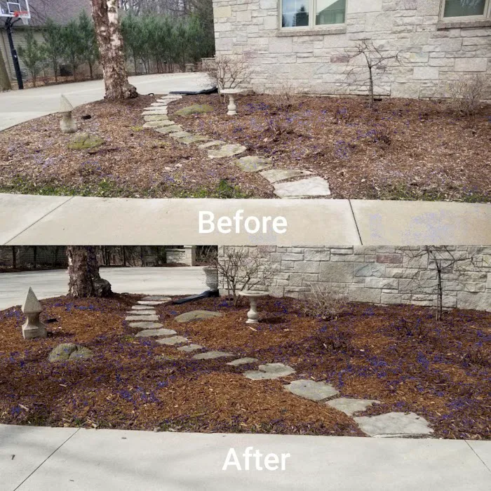 Essential Lawn Services Picture 5