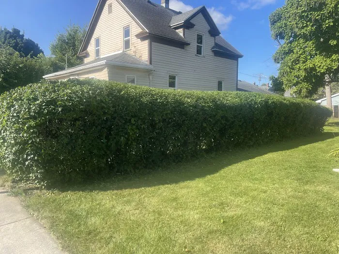 JP Lawn Care and Landscaping Picture 2