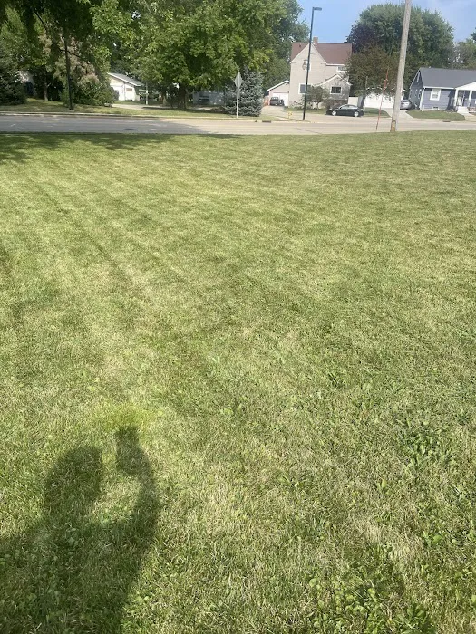 JP Lawn Care and Landscaping Picture 7