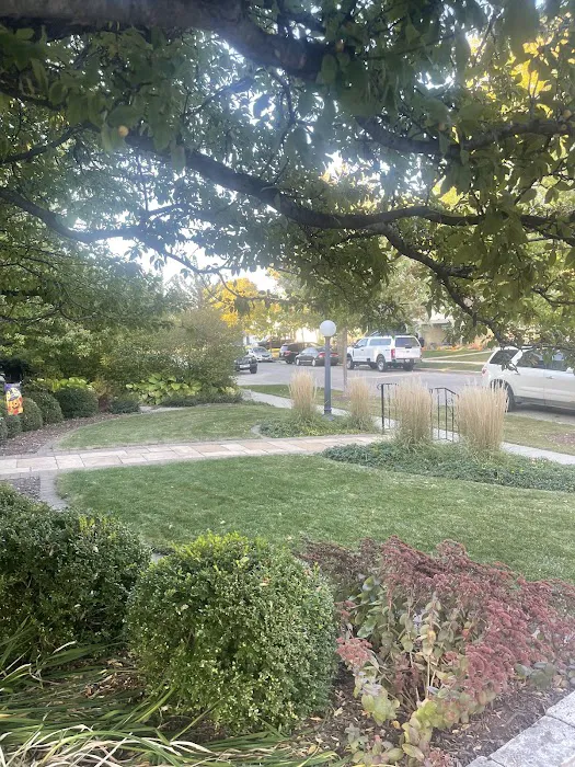 JP Lawn Care and Landscaping Picture 9