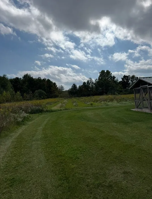 JP Lawn Care and Landscaping Picture 5