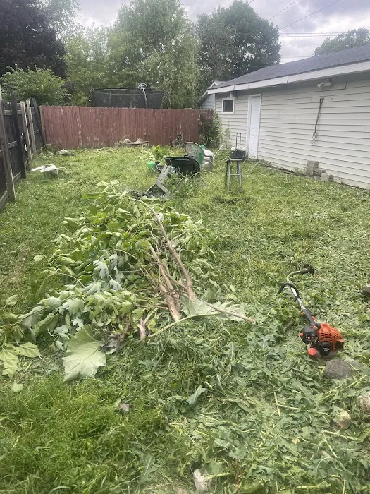 JP Lawn Care and Landscaping Picture 6